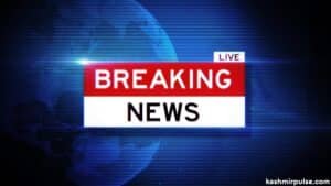 Two non-local labourers injured in militant attack in Ganderbal: Police
