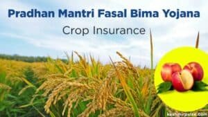 PMFBY extended to farmers of all districts in J-K