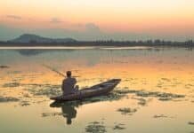 Plastic waste and dense weeds threaten Srinagar’s historic Dal Lake Dal Lake