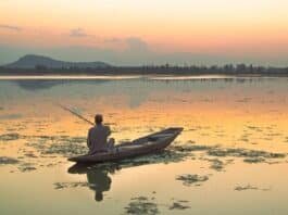 Plastic waste and dense weeds threaten Srinagar’s historic Dal Lake Dal Lake