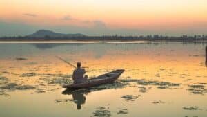 Plastic waste and dense weeds threaten Srinagar’s historic Dal Lake