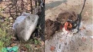 Suspicious bag found in Srinagar outskirts: Police