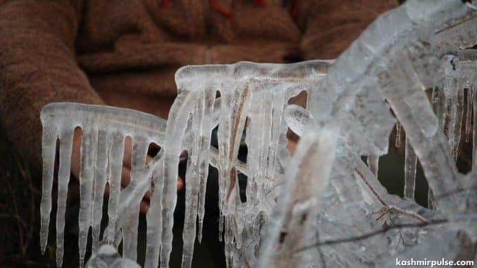 Icicles formed on branches of trees on a cold winter day in Pulwama Kashmir Icicles formed on branches of trees on a cold winter day in Pulwama, Kashmir
