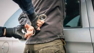 Three held, arms and Hizb posters seized in Shopian