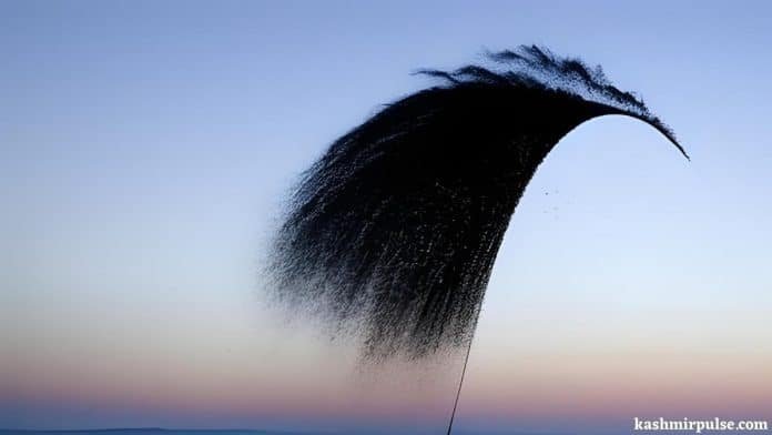 Poem - Abstract - Art Poem - Abstract - Art