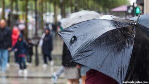 Flash flood warning issued for J&K amid gusty winds, heavy rain