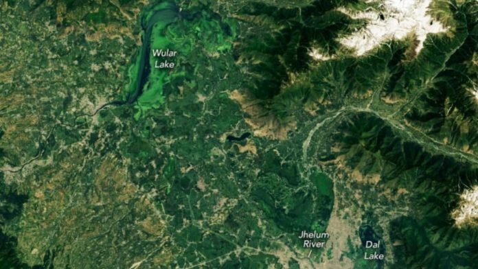 NASA satellite reveals shrinking Dal, Wular lakes NASA satellite reveals shrinking Dal, Wular lakes