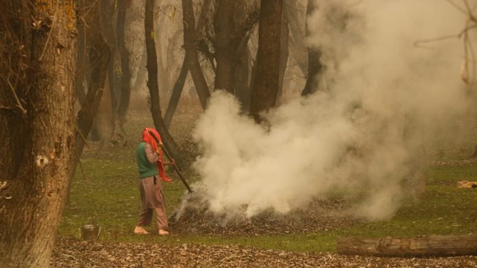A woman burns dry leaves to make charcoal Srinagar outskirts A woman burns dry leaves to make charcoal on a cold and foggy morning in Srinagar outskirts