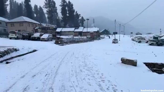 Kashmir's higher reaches blanketed in fresh snowfall