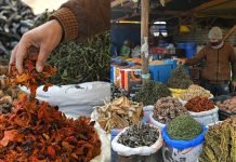 Kashmiri tradition of Hokh Syun sustains winter comfort, economic benefits amidst Chillai Kalan Kashmiri tradition of Hokh Syun