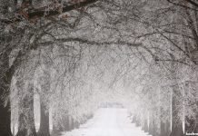 J&K likely to see mild, dry winter under El Niño Snow - Winter