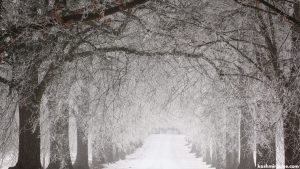 J&K likely to see mild, dry winter under El Niño
