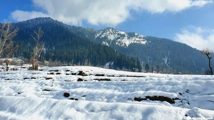 Snowfall - Kashmir Snowfall - Kashmir