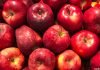Kashmir’s high-density apple orchards deliver higher returns as prices hit ₹200/kg Kashmiri apples