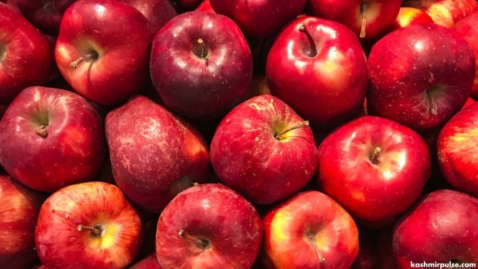 Kashmiri apples Kashmiri apples