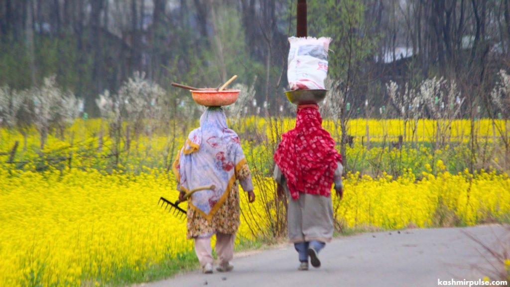 Two women returning home after a day of hard work in their vegetable garden