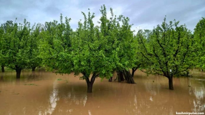 Flood-like situation in Trich village of Pulwama Flood-like situation in Trich village of Pulwama