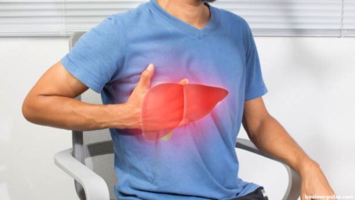 Human Liver - Fatty Liver