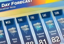 MeT forecasts rain and gusty winds in J&K Weather forecast
