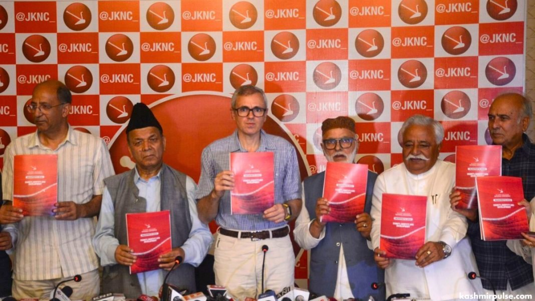 In poll manifesto, NC promises 12 ‘guarantees’