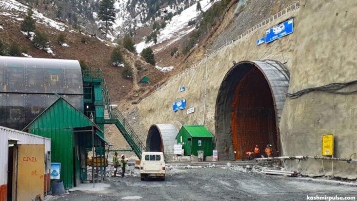 Z-Morh Tunnel Z-Morh Tunnel