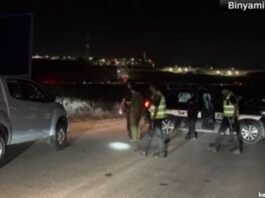 Over 60 injured in drone attack in Israel
