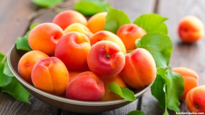 Apricots Apricots - Fruits