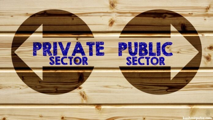 Public and Private Sector Businesses Public and Private Sector Businesses