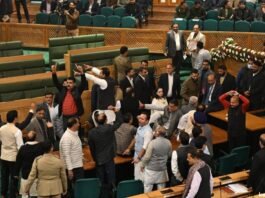 Ruckus in J-K Assembly as resolution on special status passed with a majority vote