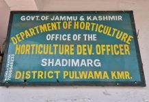 Horticulture Department recommends urgent fungicide spray for hailstorm-hit apple orchards Horticulture Development Officer Shadimarg