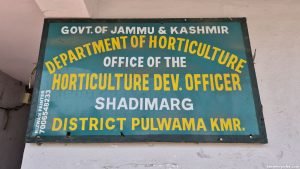 Horticulture Department recommends urgent fungicide spray for hailstorm-hit apple orchards