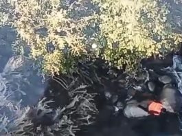 Screengrab of the drone footage in which the youth is seen 'jumping' into the river