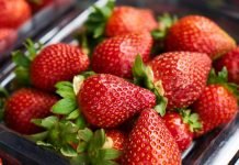 Kashmir’s strawberry farmers hit hard as prices plummet after Pahalgam attack Strawberries
