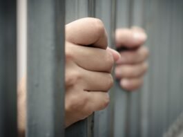 Awantipora Police intensify anti-mining drive, five booked for illegal mineral extraction Arrest - Police Custody