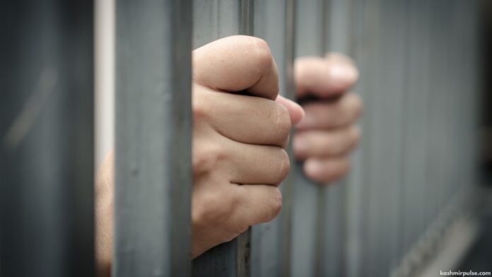 Arrest - Police Custody Arrest - Police Custody