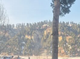 Parched Peaks: 65% rainfall deficit sparks fears for J&K’s agriculture Parched mountain peaks in Kashmir as 2025-2026 winter is comparatively 65% rainfall deficit