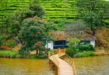 Scenic Mountain Stays: Ideal Retreats for Weekend Travellers Resort in Vagamon, Kerala