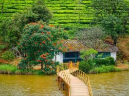 Resort in Vagamon, Kerala