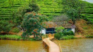 Scenic Mountain Stays: Ideal Retreats for Weekend Travellers