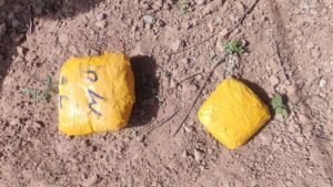 Security forces recover Chinese pistol, suspected narcotics near LoC in Poonch