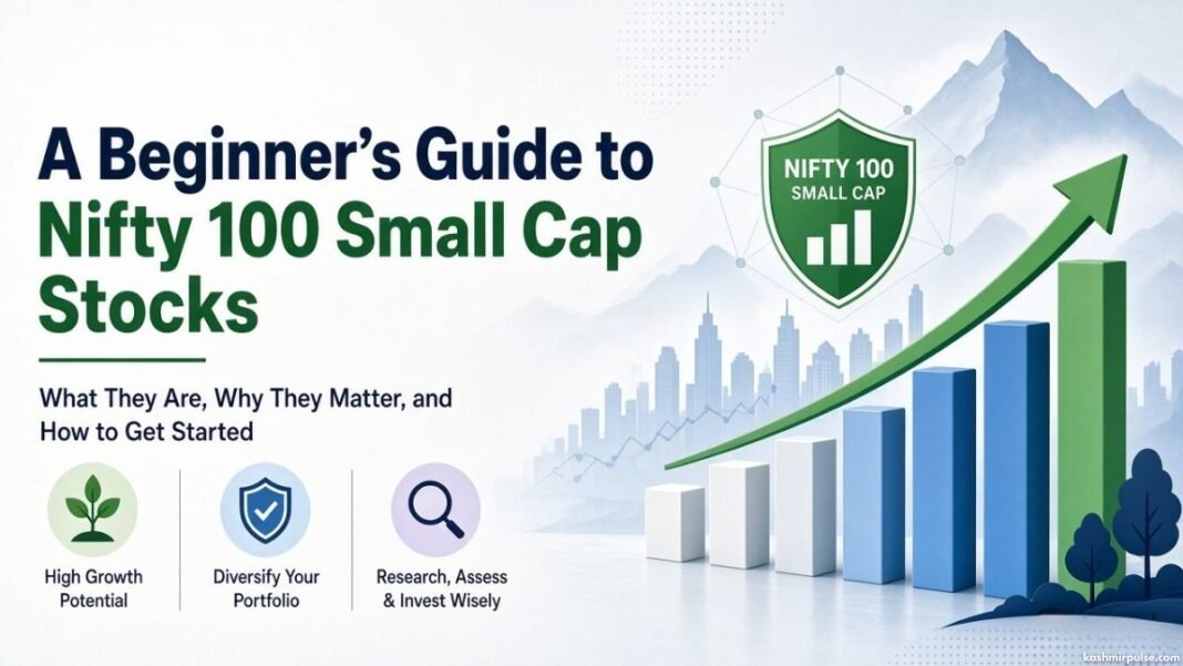 A Beginner's Guide to Nifty 100 Small Cap Stocks