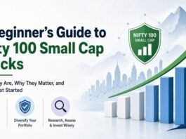 A Beginner's Guide to Nifty 100 Small Cap Stocks