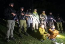 Two held as Pulwama Police, Army recover pistol, grenade Two held as Pulwama Police, Army recover pistol, grenade