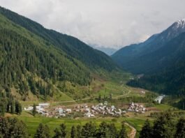 Forest Department stops construction at Mamal in Pahalgam Aru Valley, Pahalgam