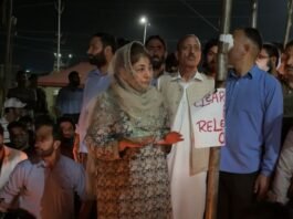 Mehbooba Mufti backs protesting medical interns over stipend hike