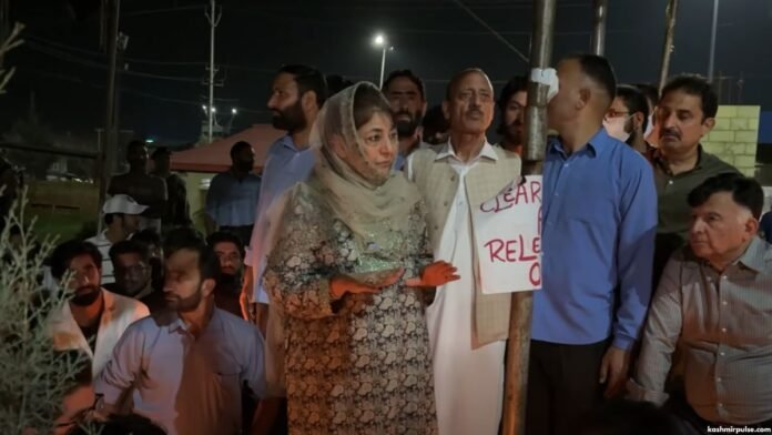 Mehbooba Mufti backs protesting medical interns over stipend hike