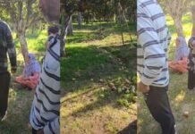Apple orchard vandalised in Shopian’s Kiloora Apple orchard vandalised in Shopian’s Kiloora