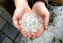 Severe hailstorm damages crops, orchards in parts of Kashmir Hailstorm