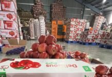Kashmir cold storage facilities fully booked as apple growers hope for better returns Kashmir cold storage facilities